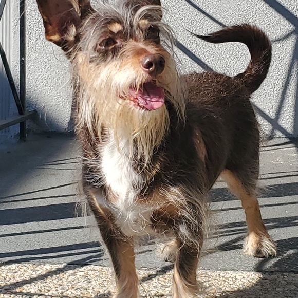 Welcome to my closest 💙 RosiePozies - Picture 8 of 17